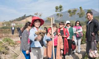 武汉农博会 武汉农博会